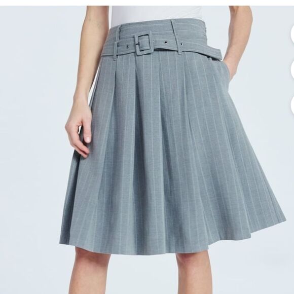 Scoop Dresses & Skirts - NEW Scoop gray pinstripe pleated midi skirt A-line belted size 8 preppy academic
